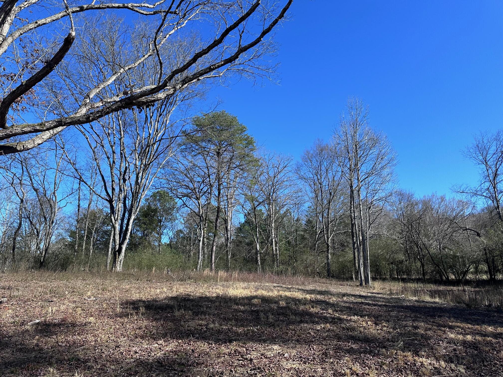 1302 Lawnville Road