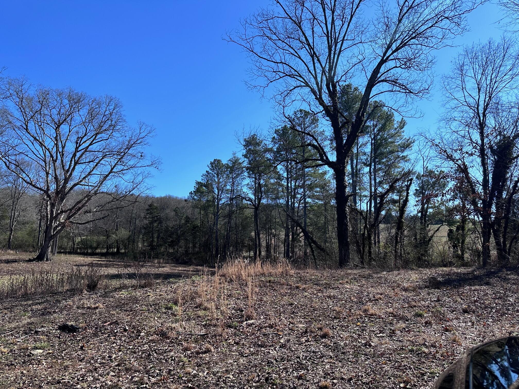 1302 Lawnville Road