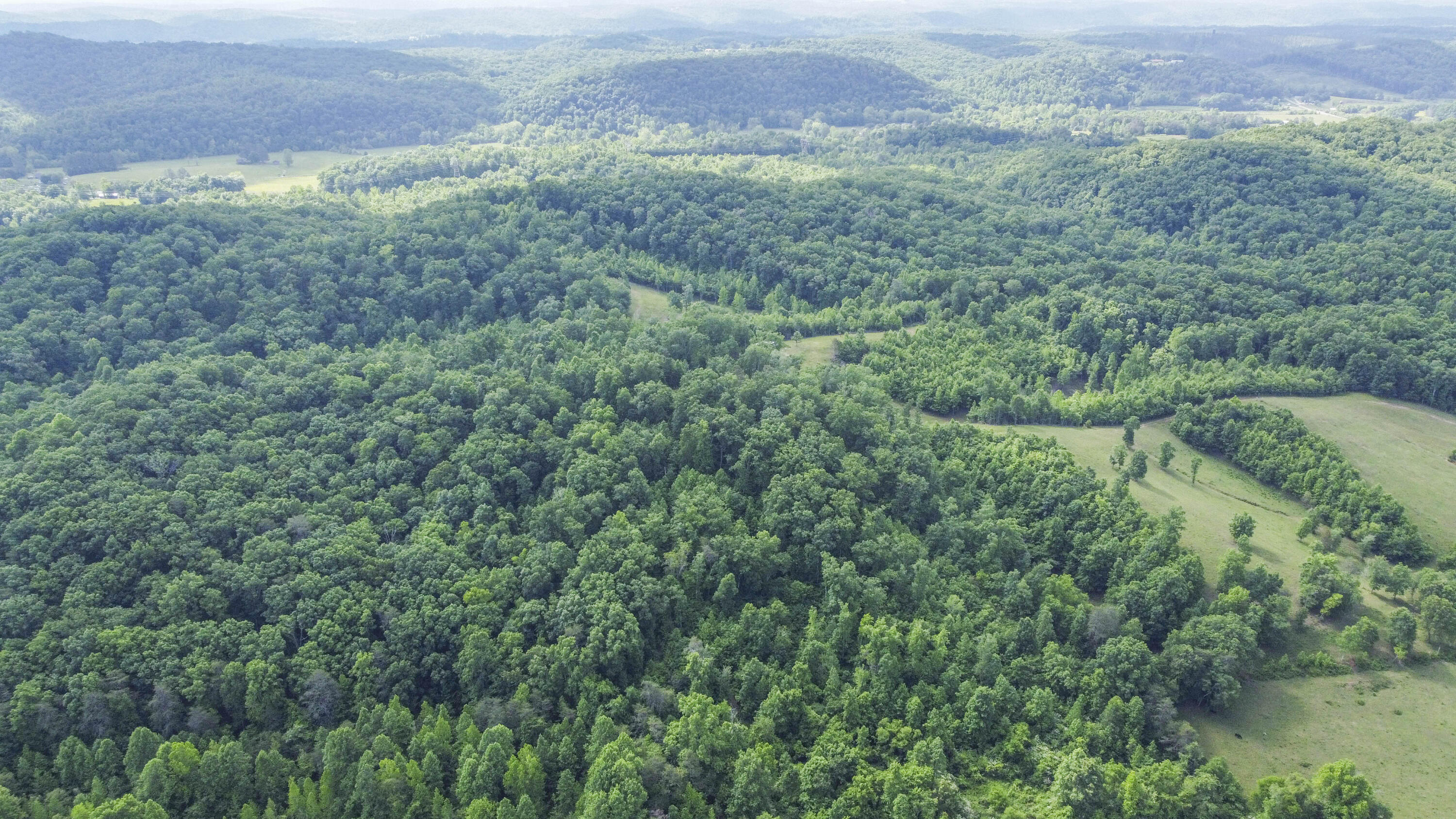 234 Laurel Bluff Road