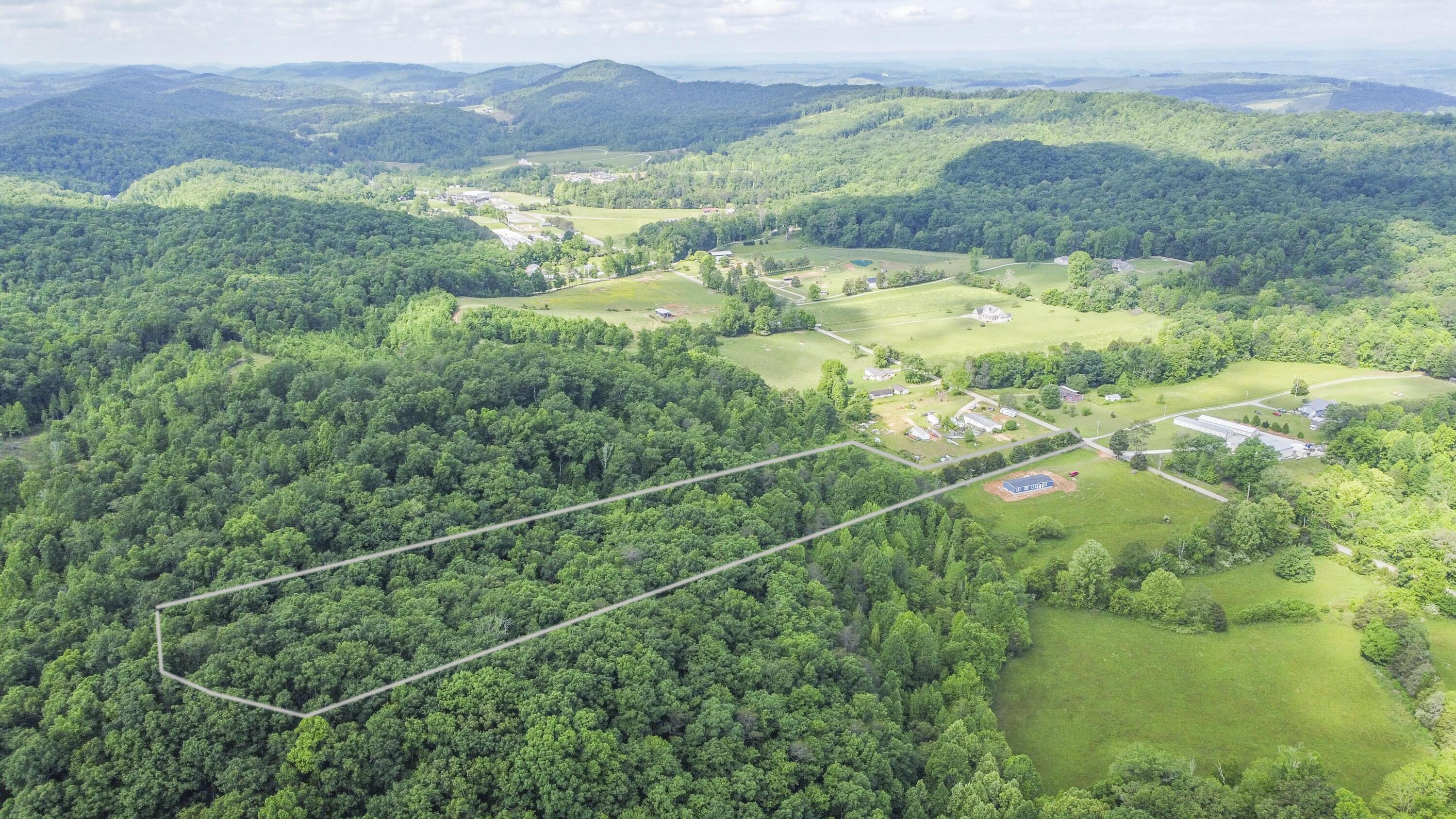 234 Laurel Bluff Road