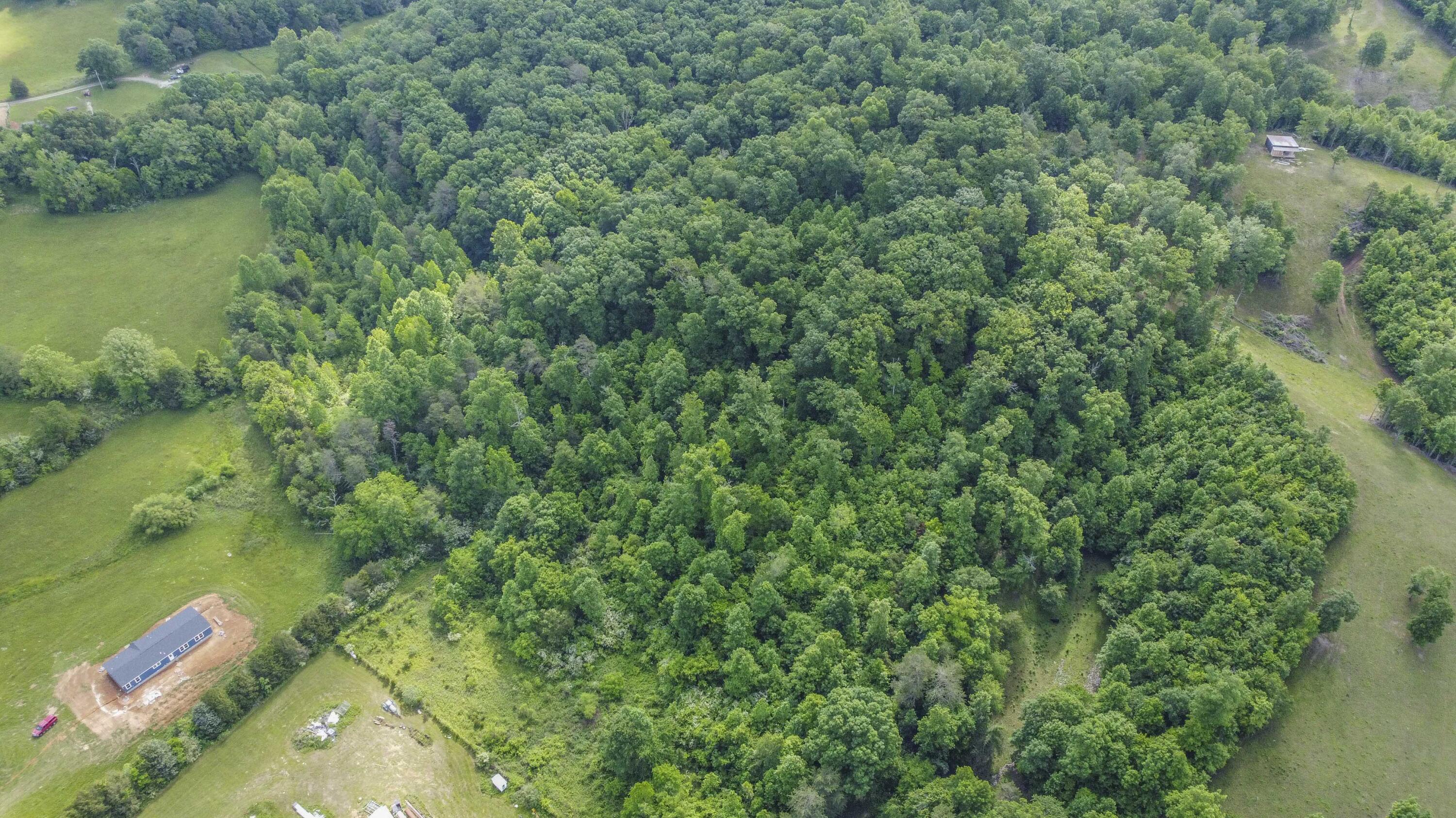 234 Laurel Bluff Road