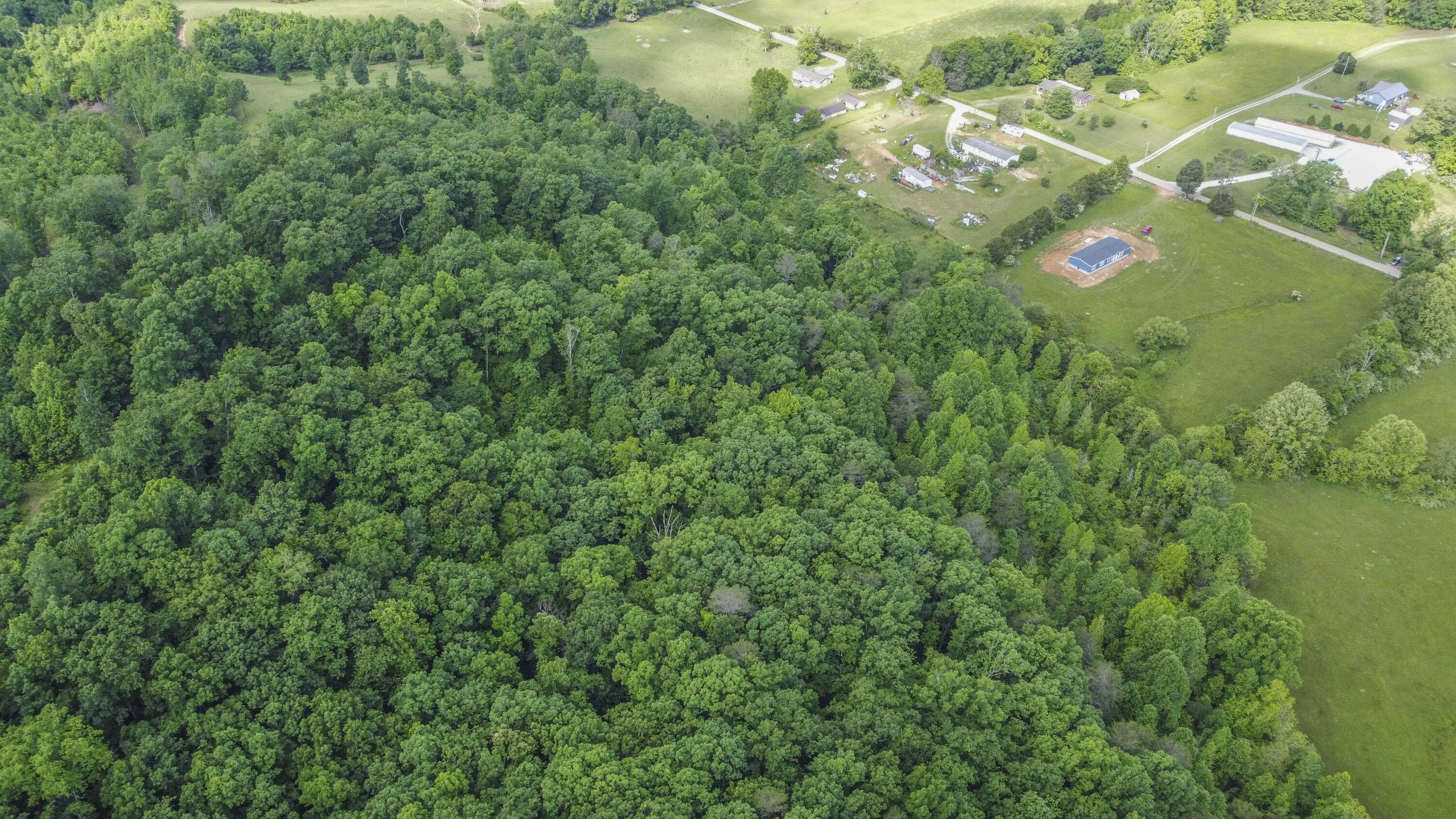 234 Laurel Bluff Road