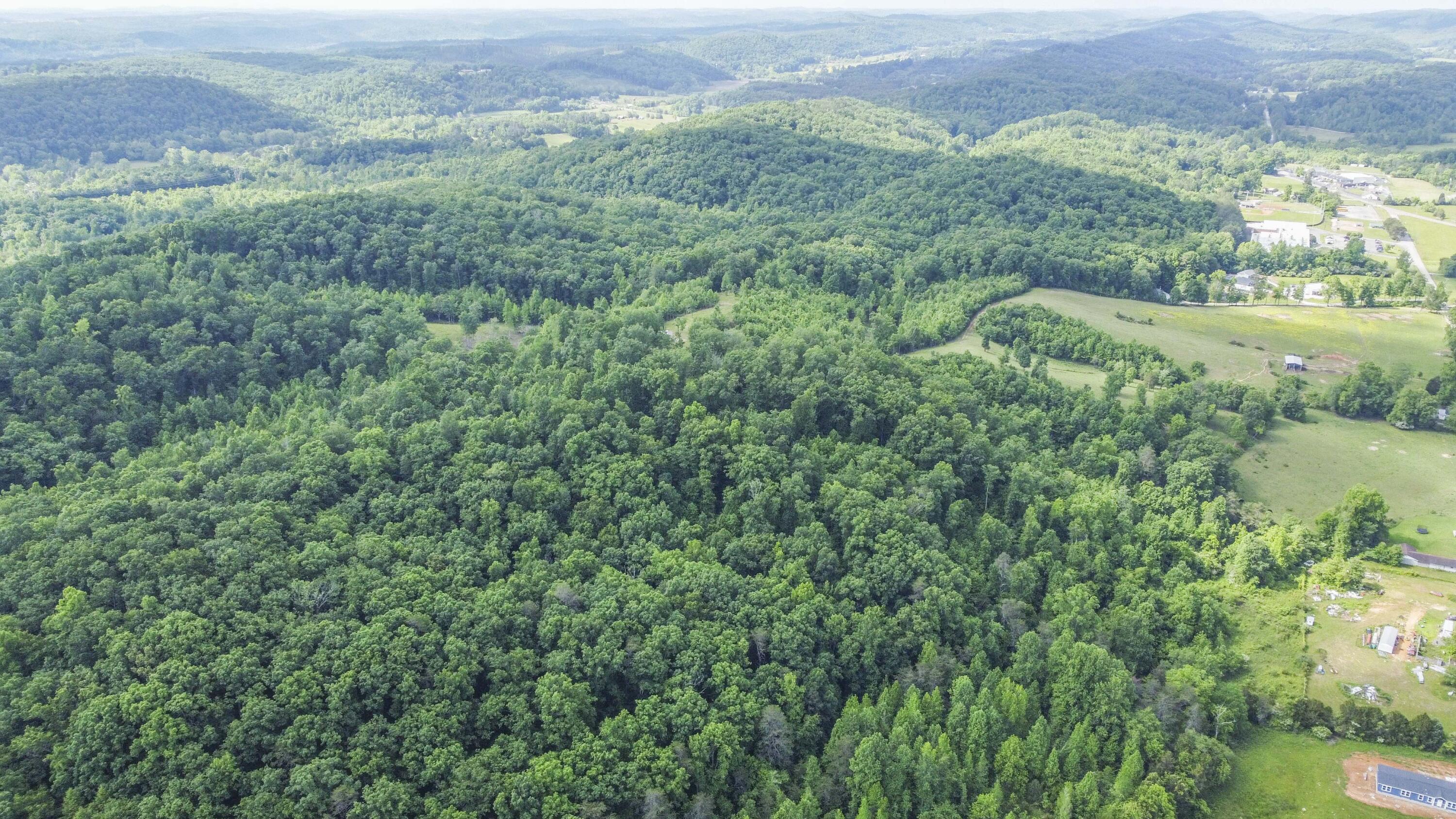 234 Laurel Bluff Road