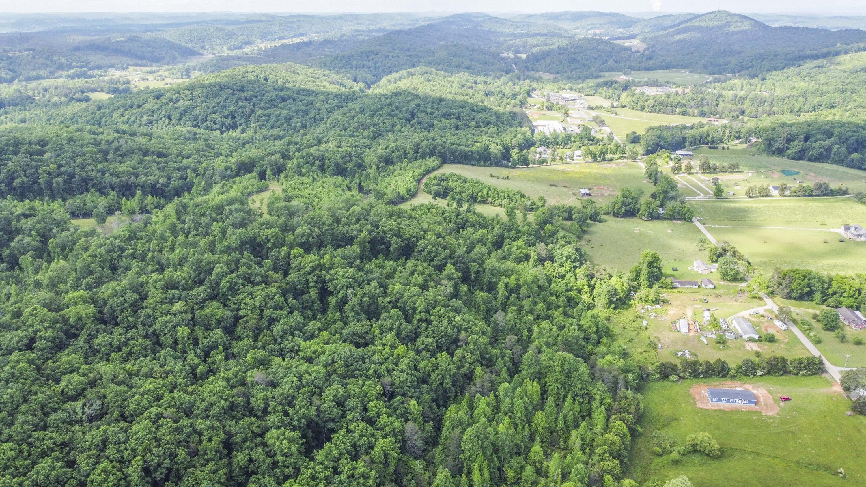 234 Laurel Bluff Road