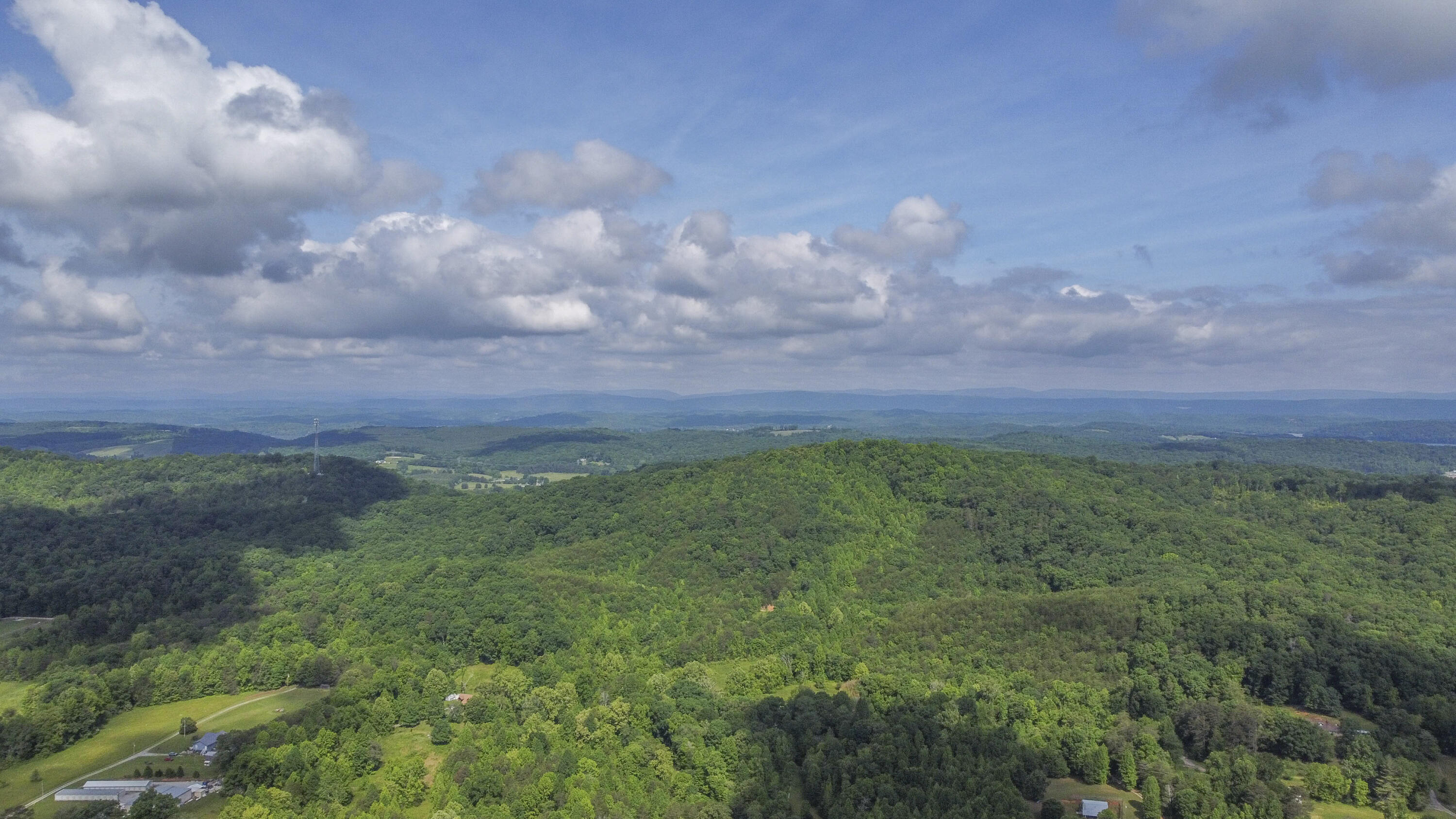 234 Laurel Bluff Road