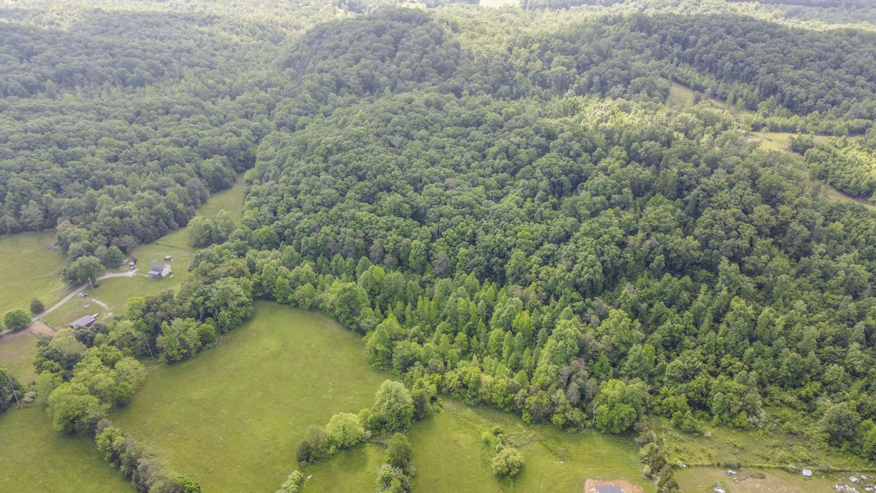 234 Laurel Bluff Road