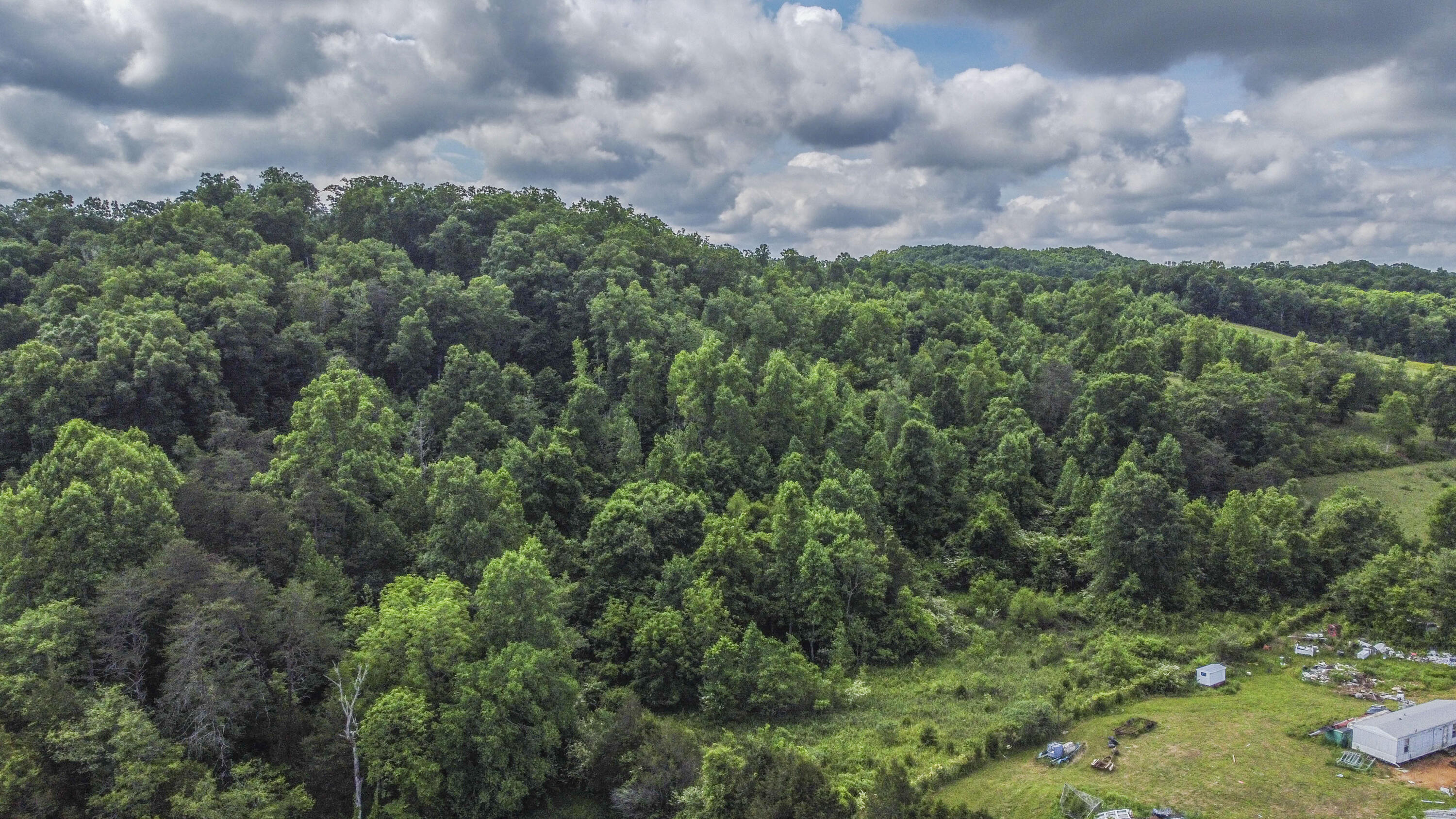 234 Laurel Bluff Road