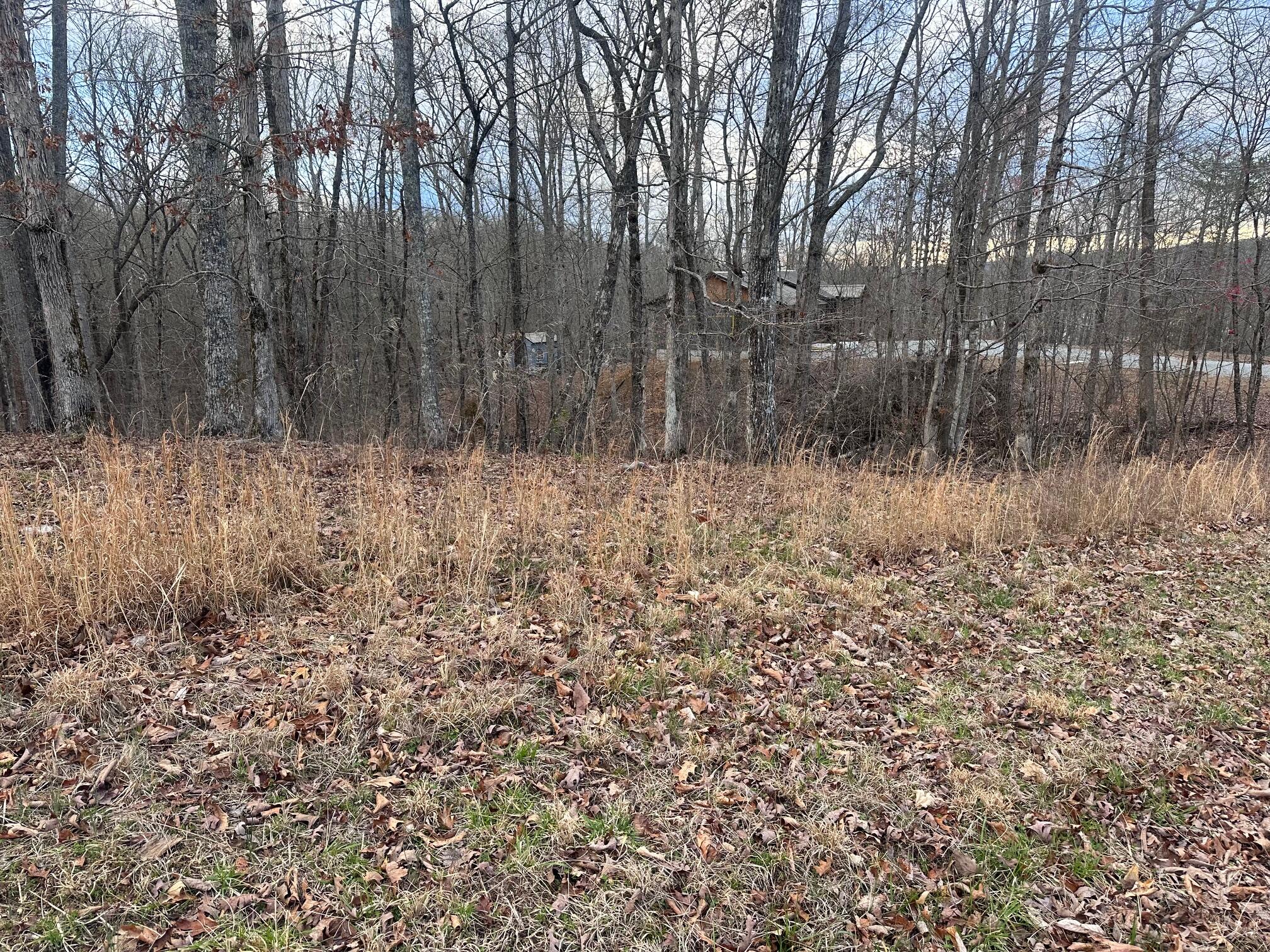 Lot 2 Indian Shadows Drive