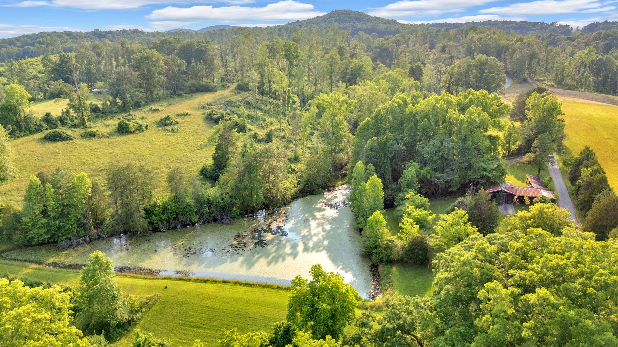 596 Clifty Creek Road