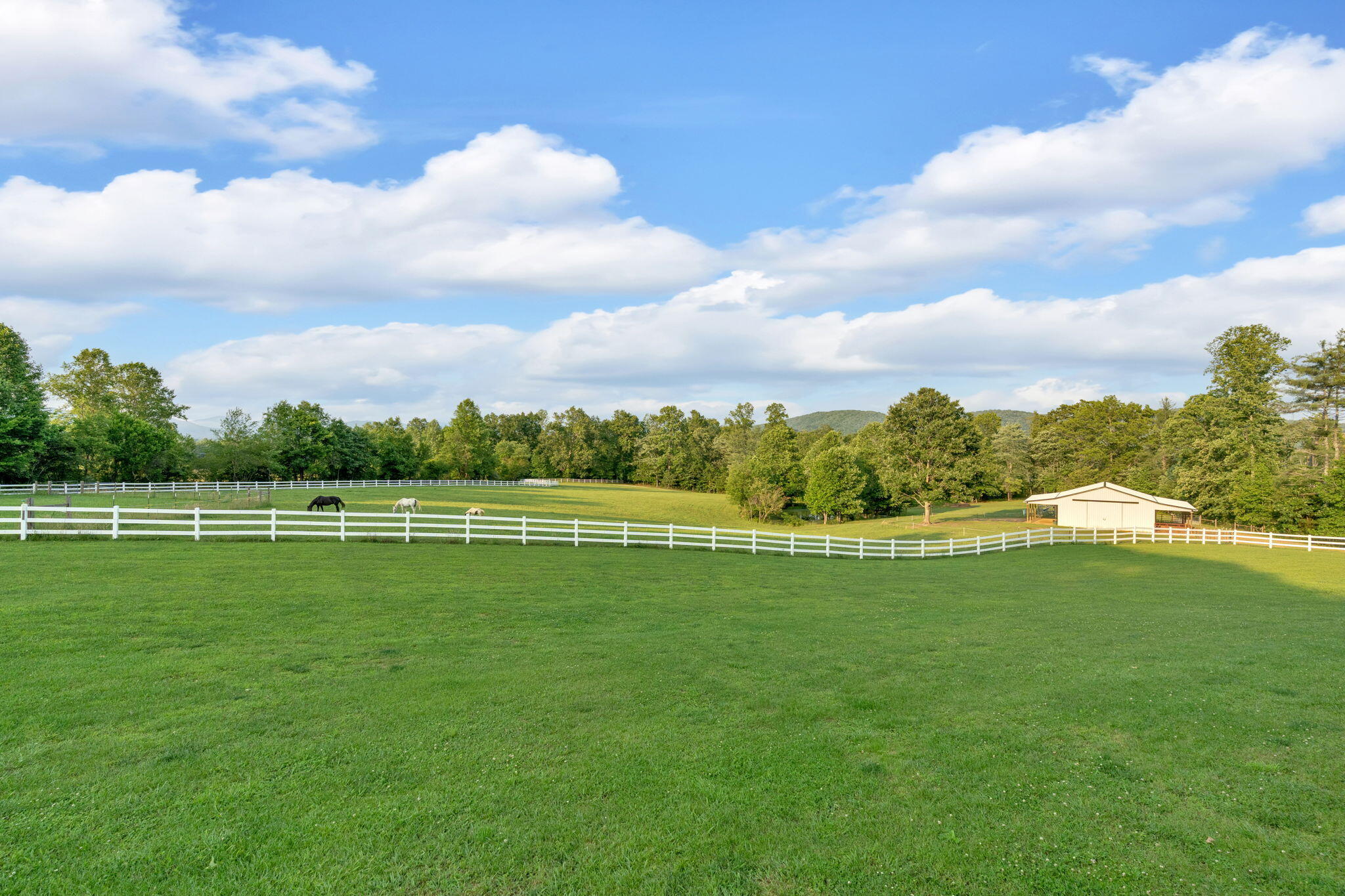 596 Clifty Creek Road
