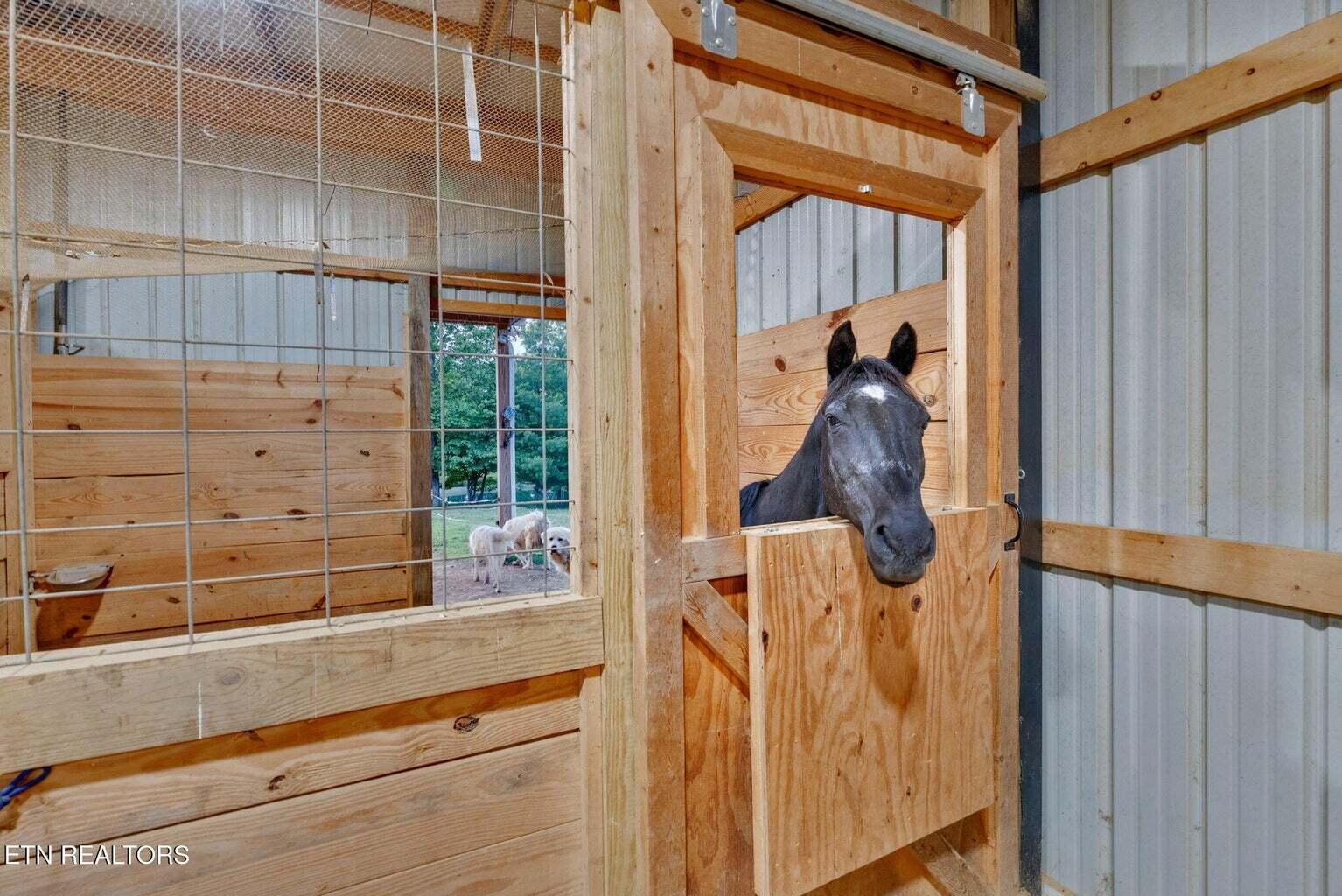 596 Clifty Creek Road