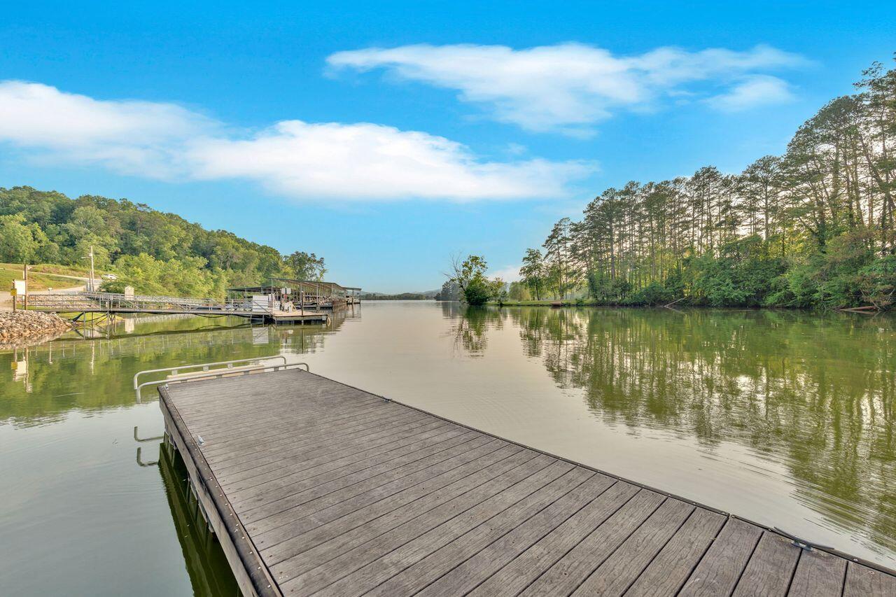1060 Paint Rock Ferry Road