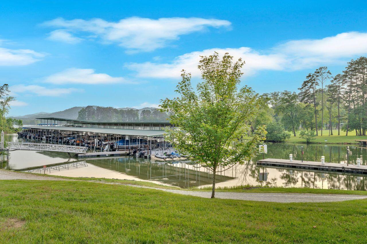 1060 Paint Rock Ferry Road