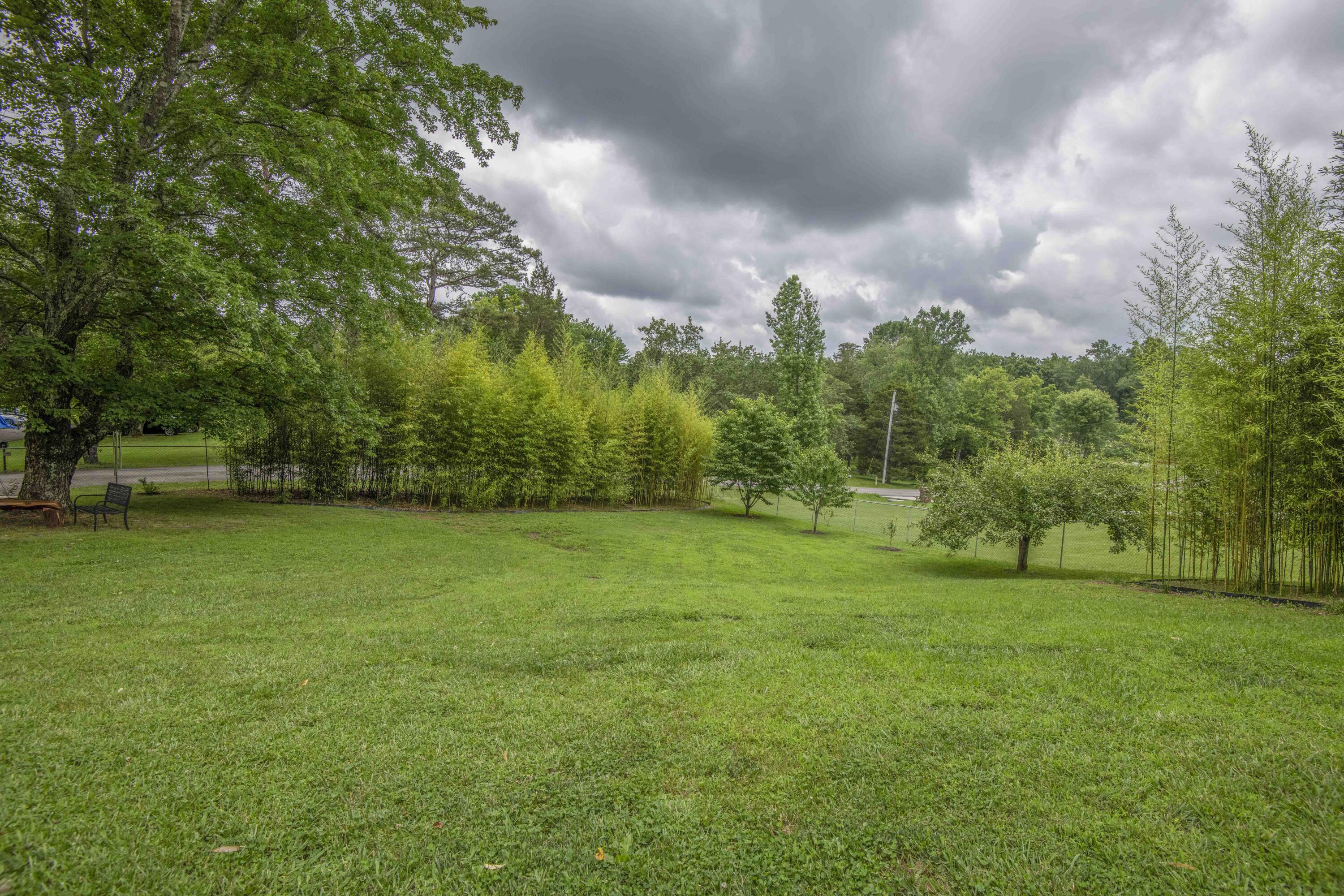 181 Little Johnson Valley Road
