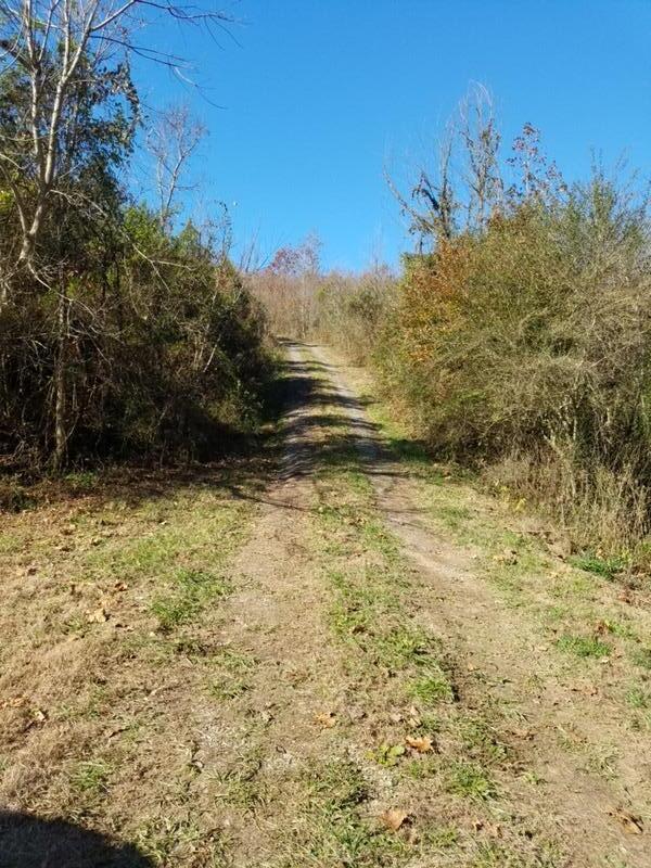 417 Womac Hollow Road