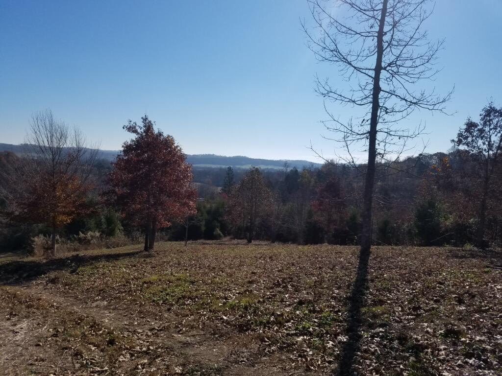 417 Womac Hollow Road