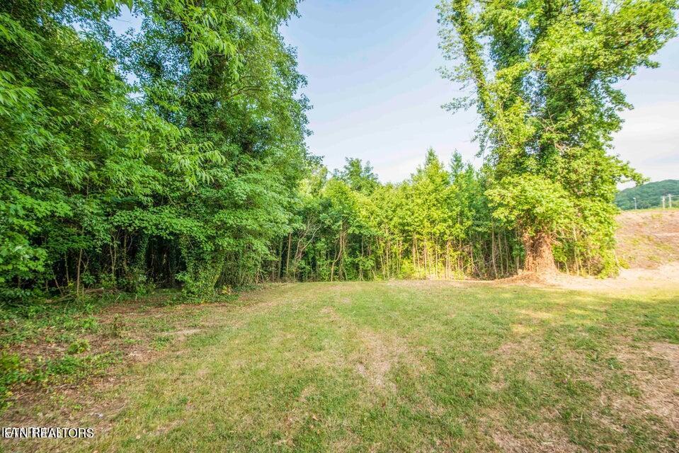 1723 Roane State Highway