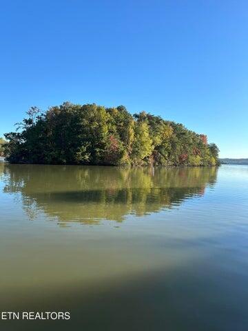 137 Lake Forest Lane