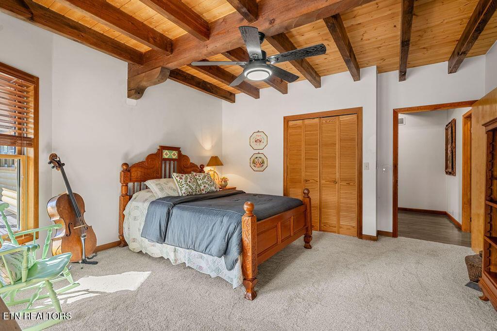 117 Chickasaw Point