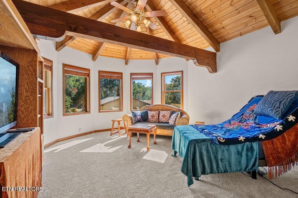 117 Chickasaw Point