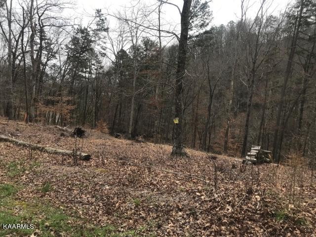 0 Sawmill Cove