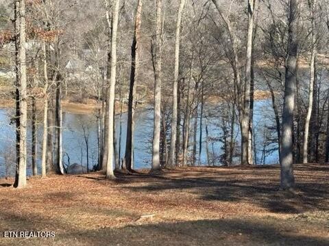843 Winton Chapel Rd