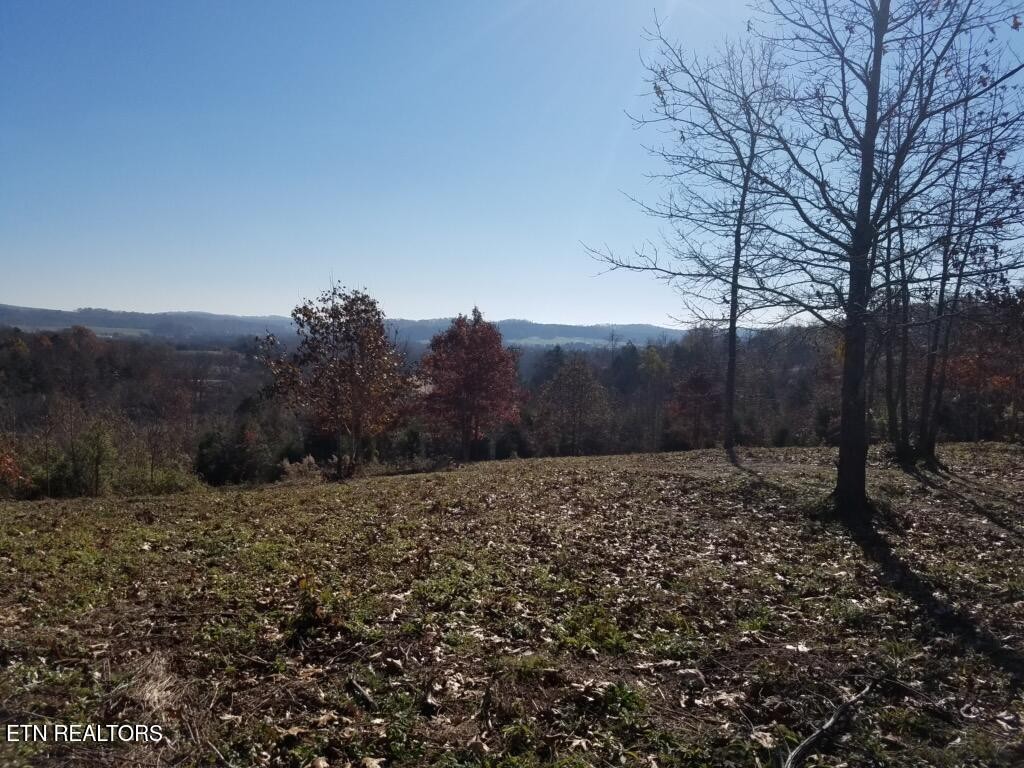 417 Womac Hollow Rd