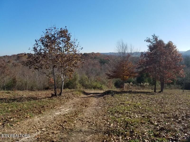417 Womac Hollow Rd