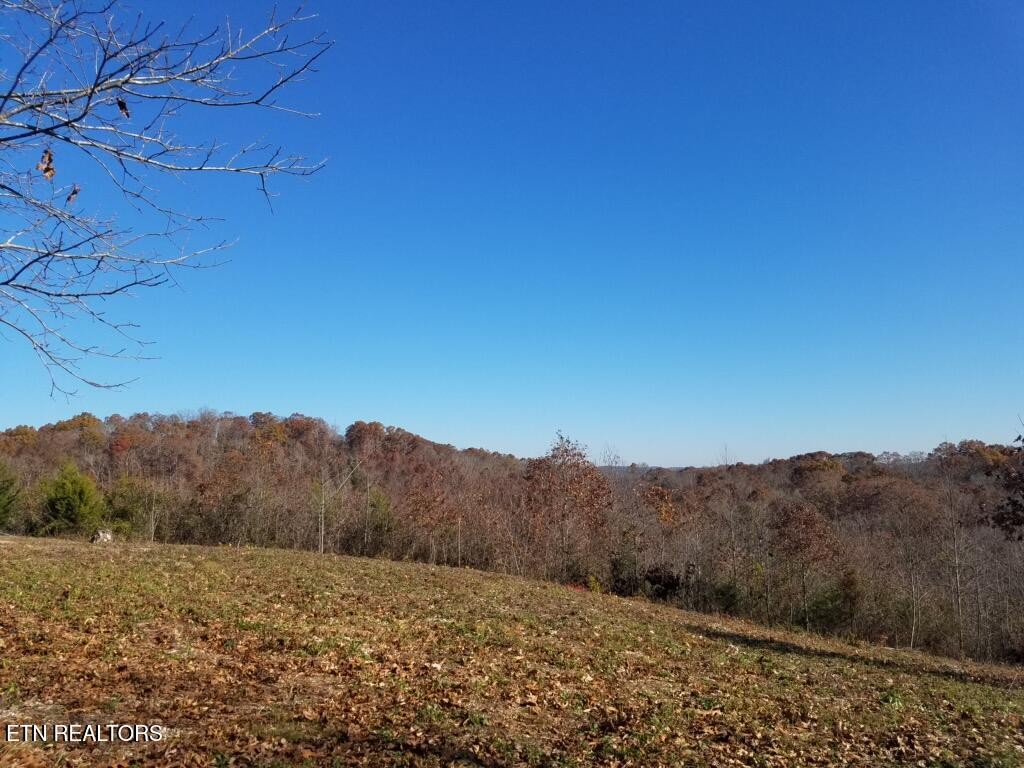 417 Womac Hollow Rd