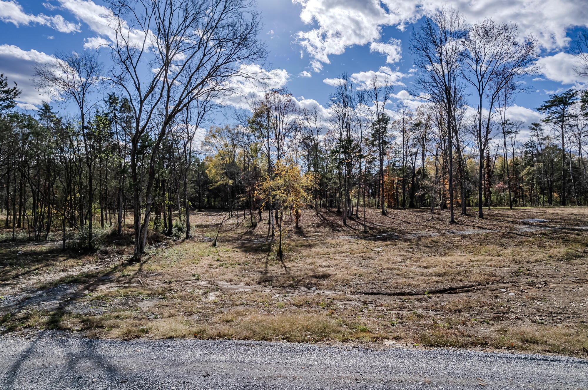 29931 State Highway 58