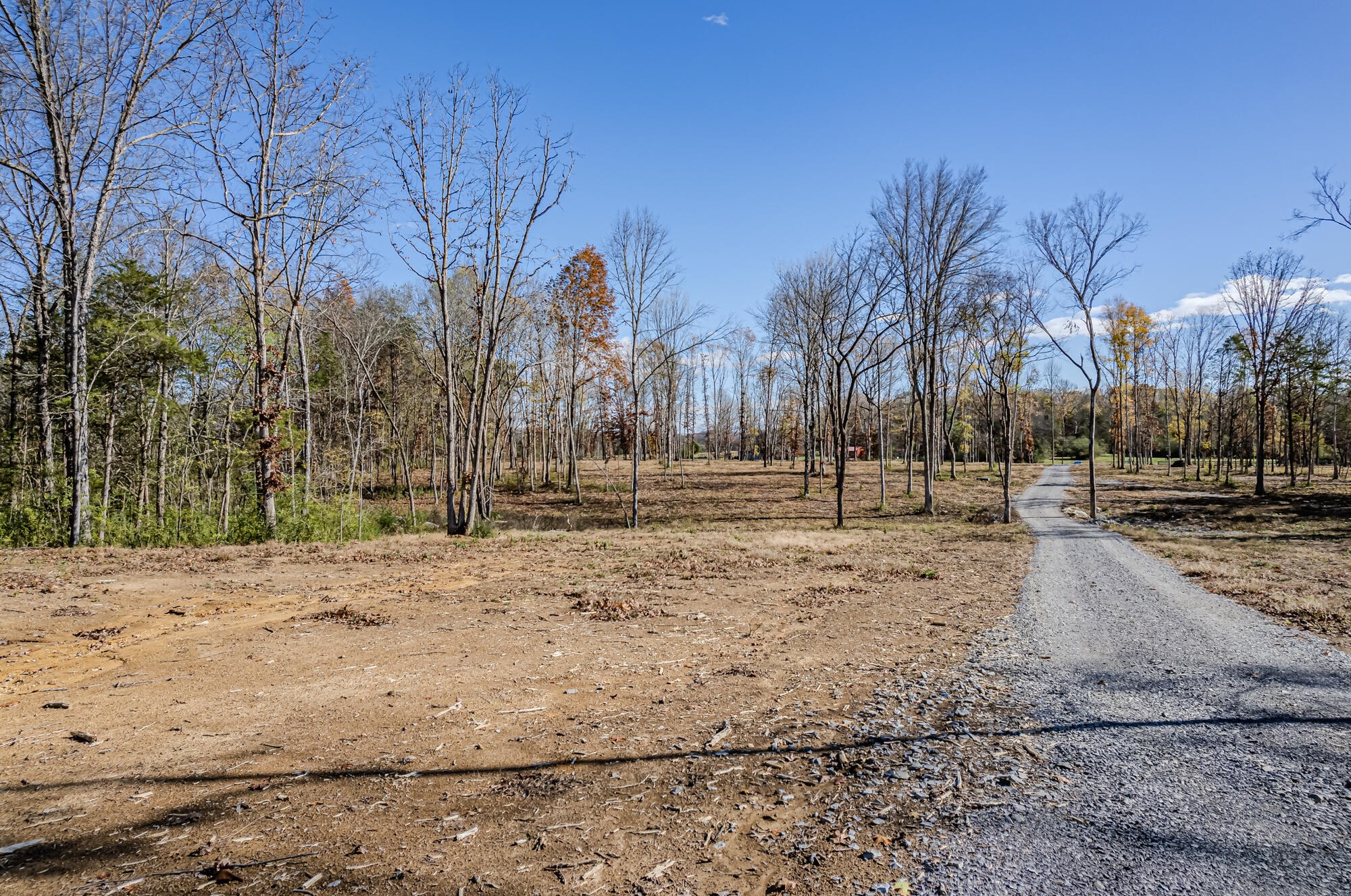29931 State Highway 58