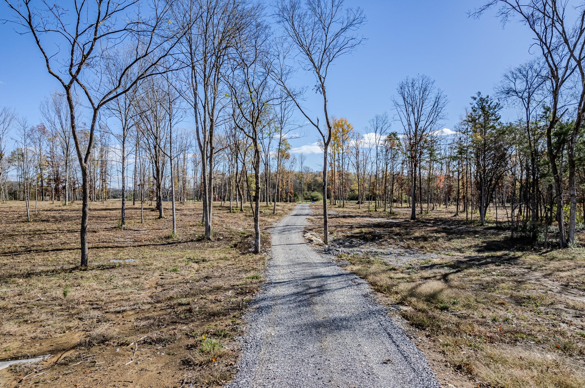 29931 State Highway 58