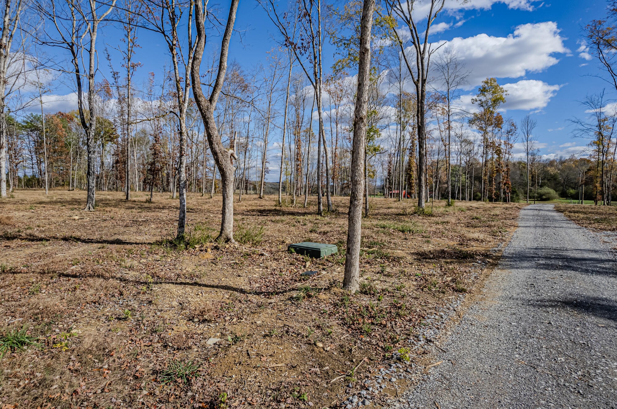 29931 State Highway 58