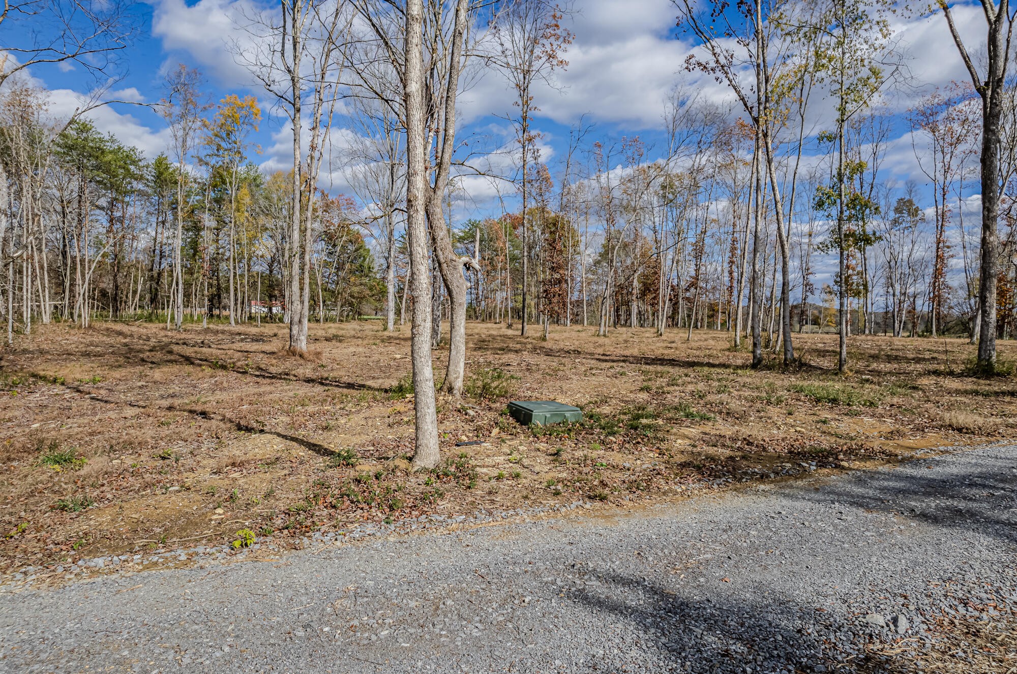 29931 State Highway 58