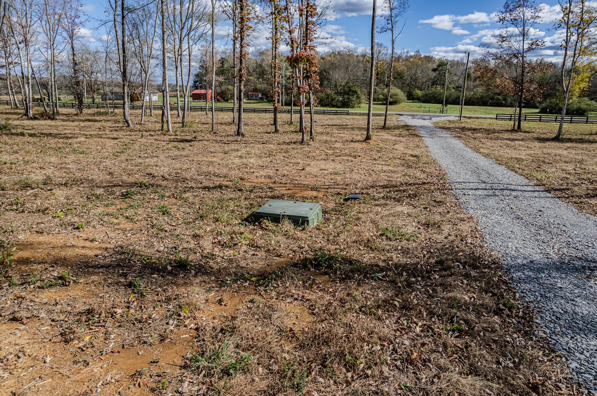 29931 State Highway 58