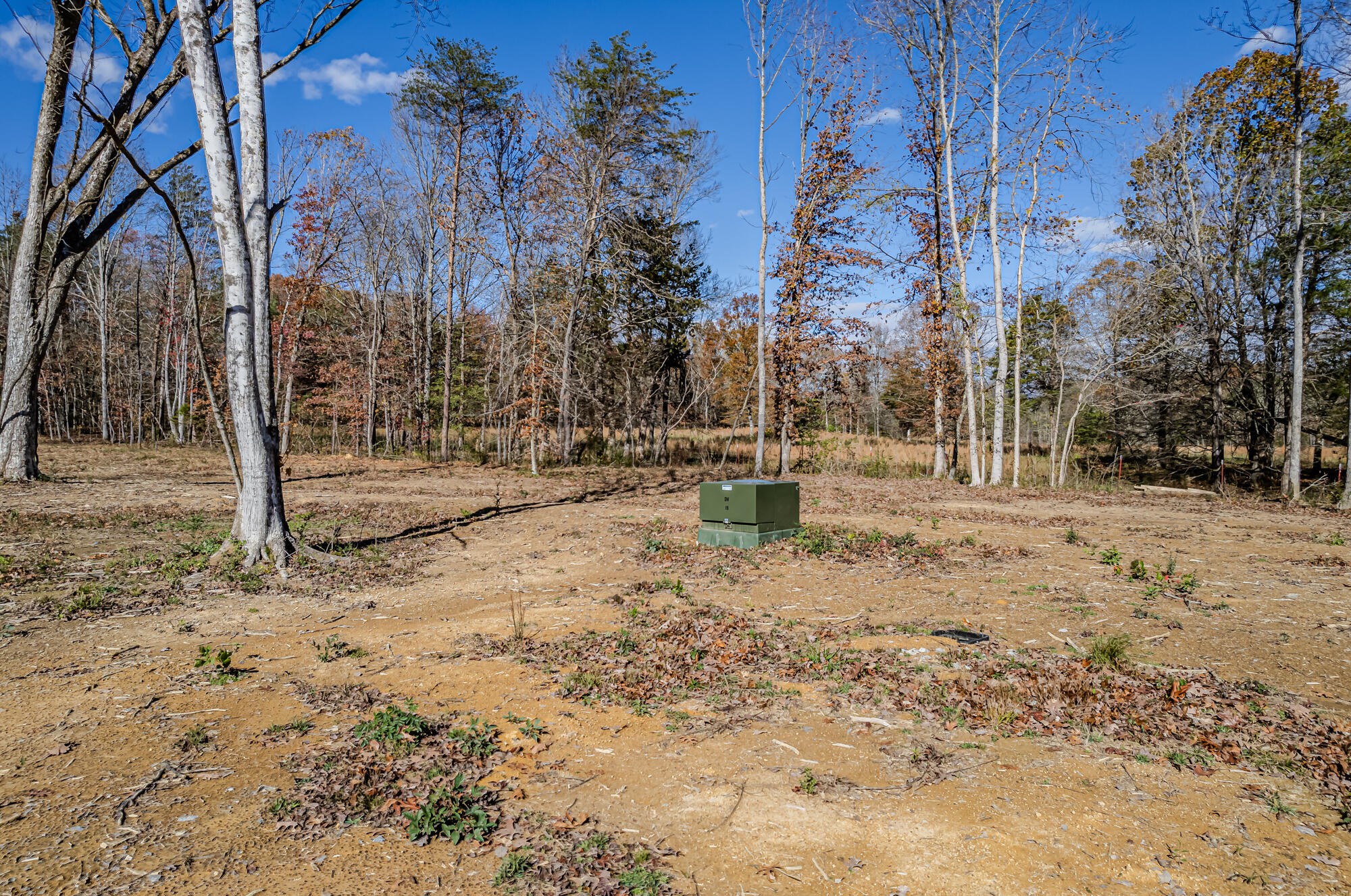 29931 State Highway 58