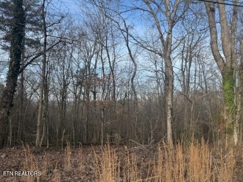 0 Ridgecrest Drive