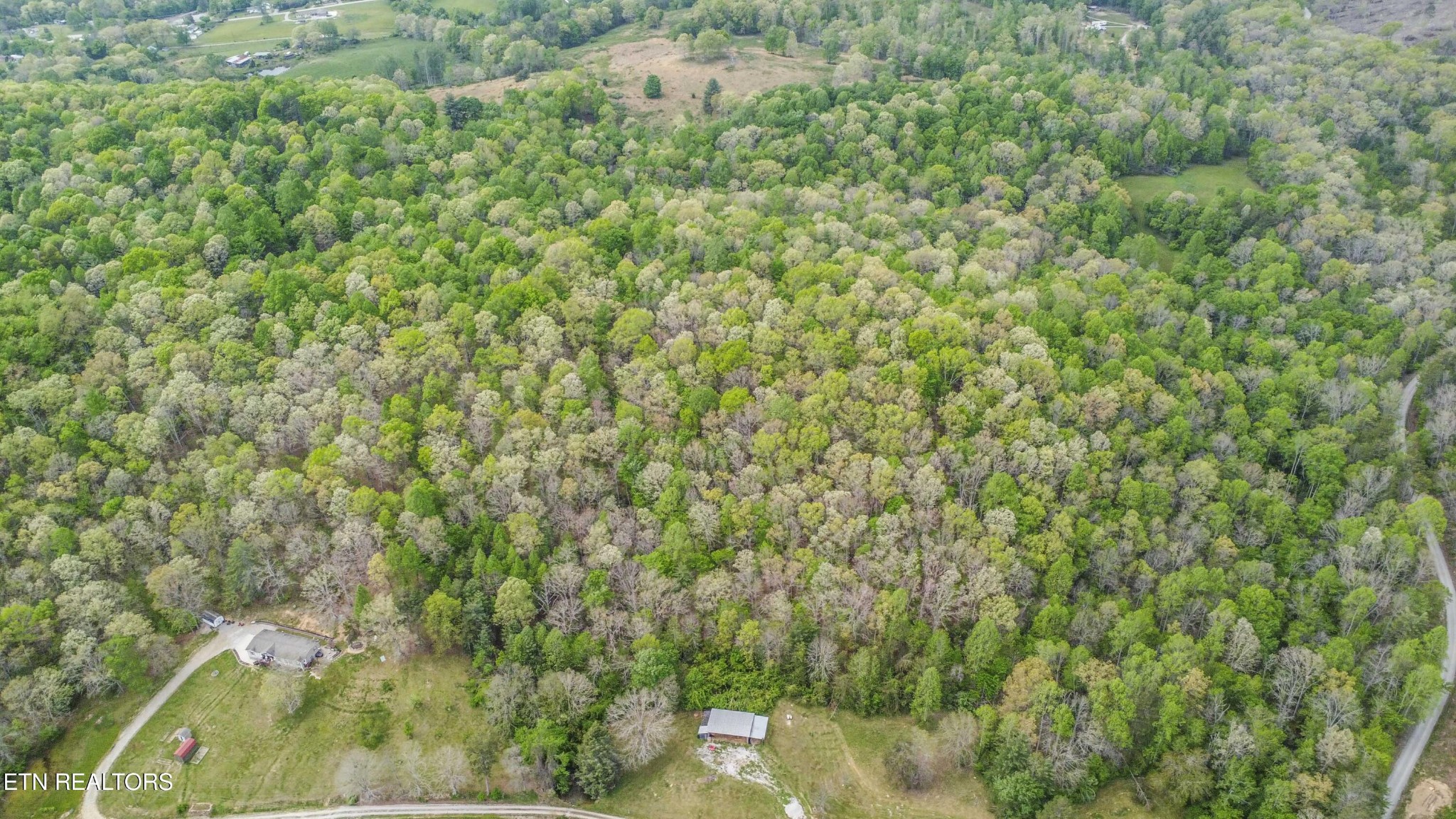 481 Piney Creek Rd