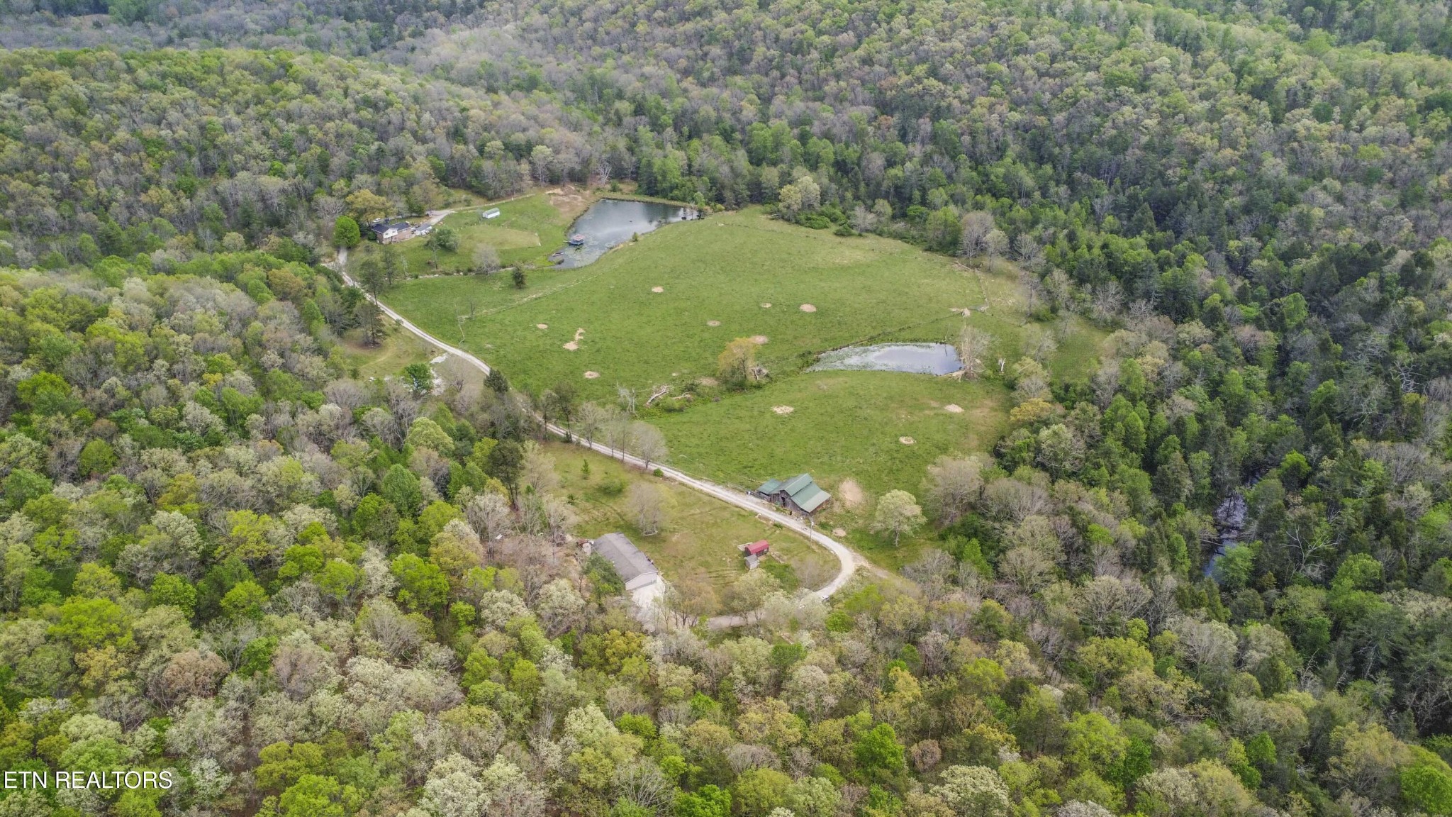 481 Piney Creek Rd