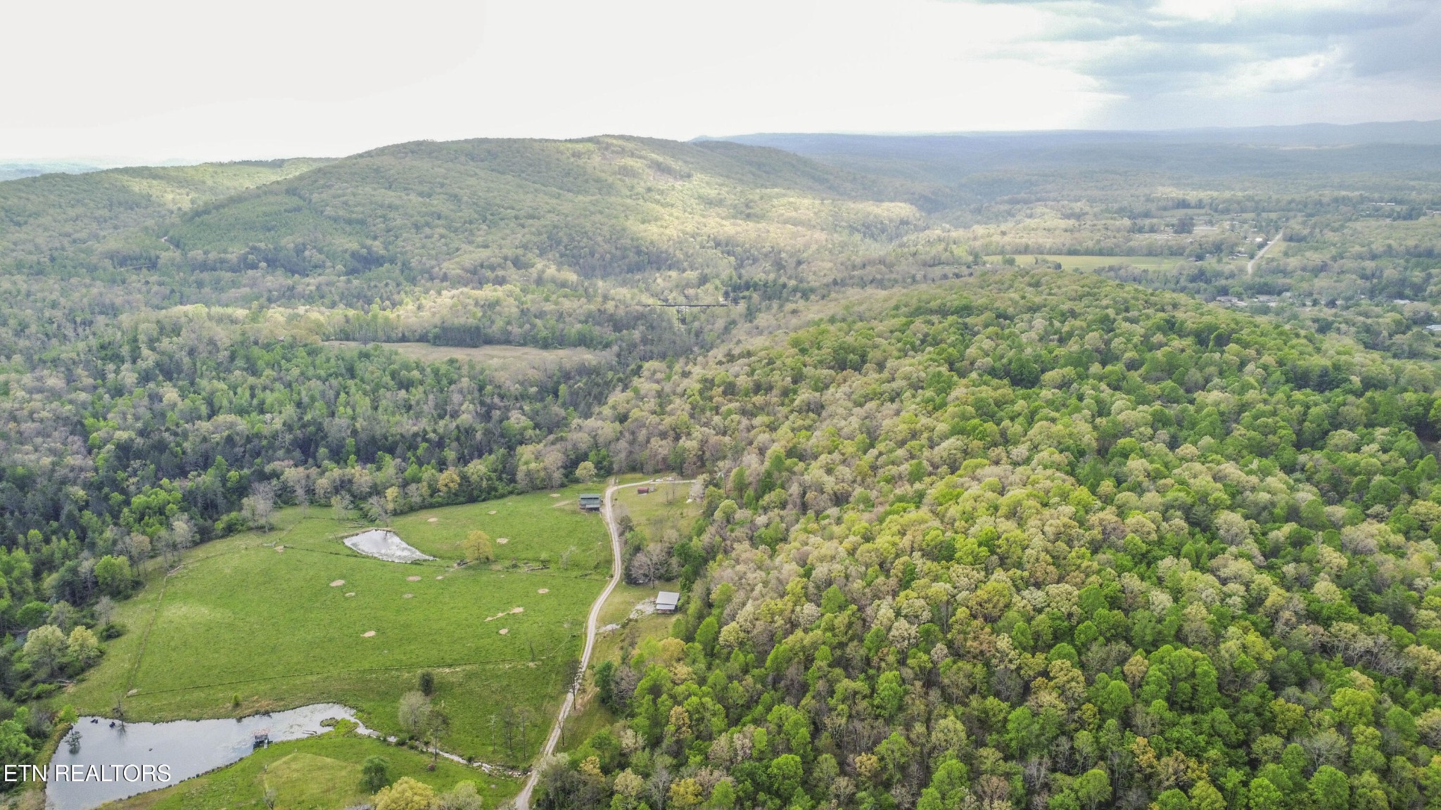 481 Piney Creek Rd