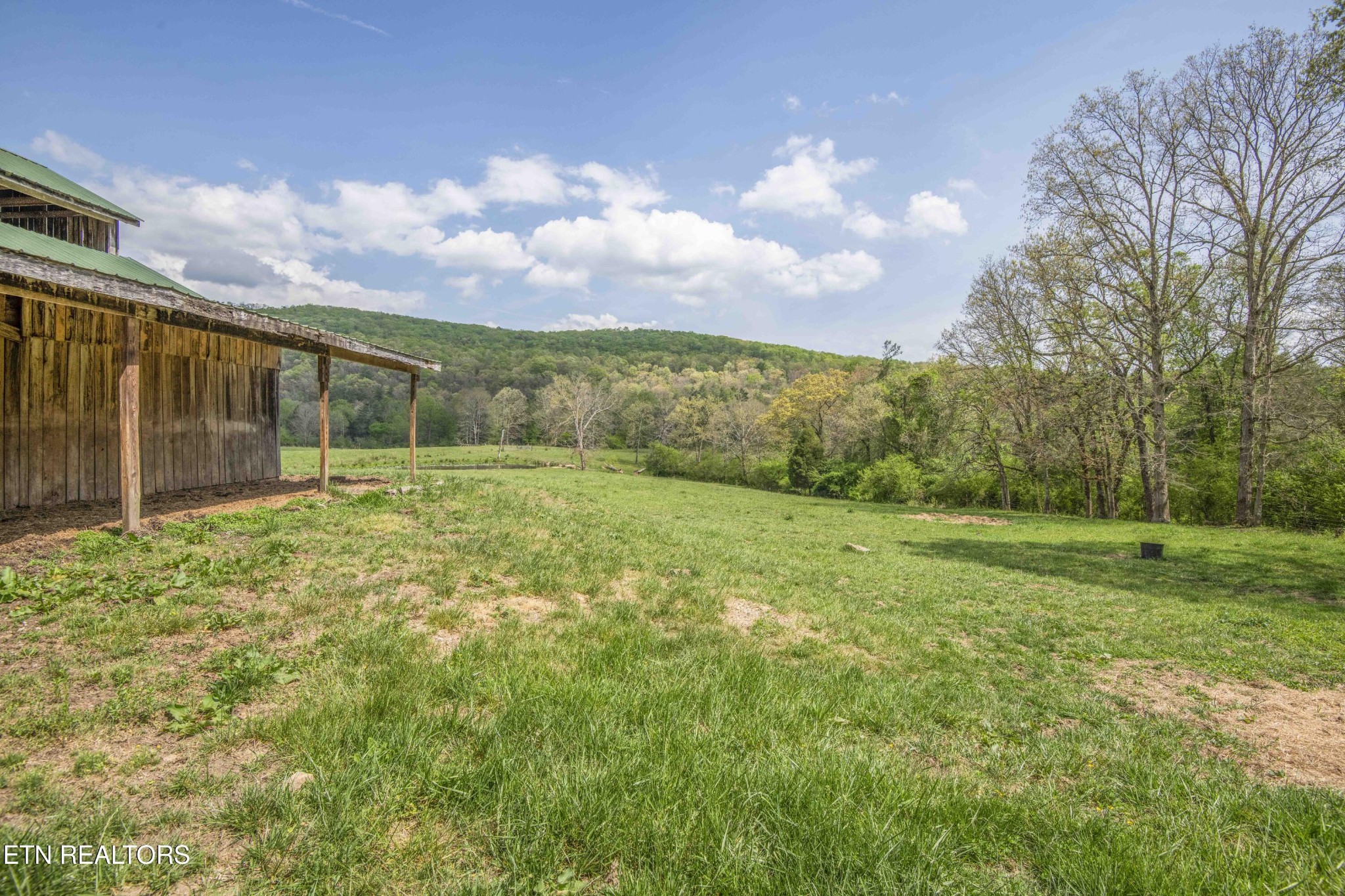 481 Piney Creek Rd