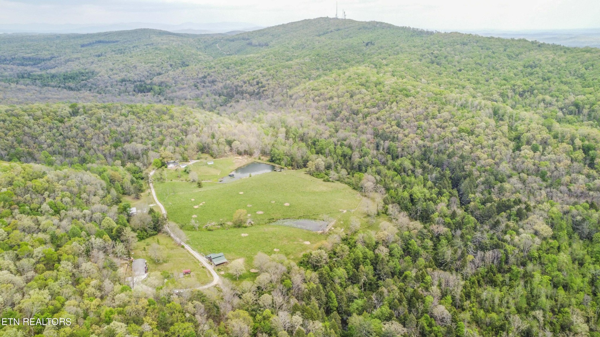 481 Piney Creek Rd