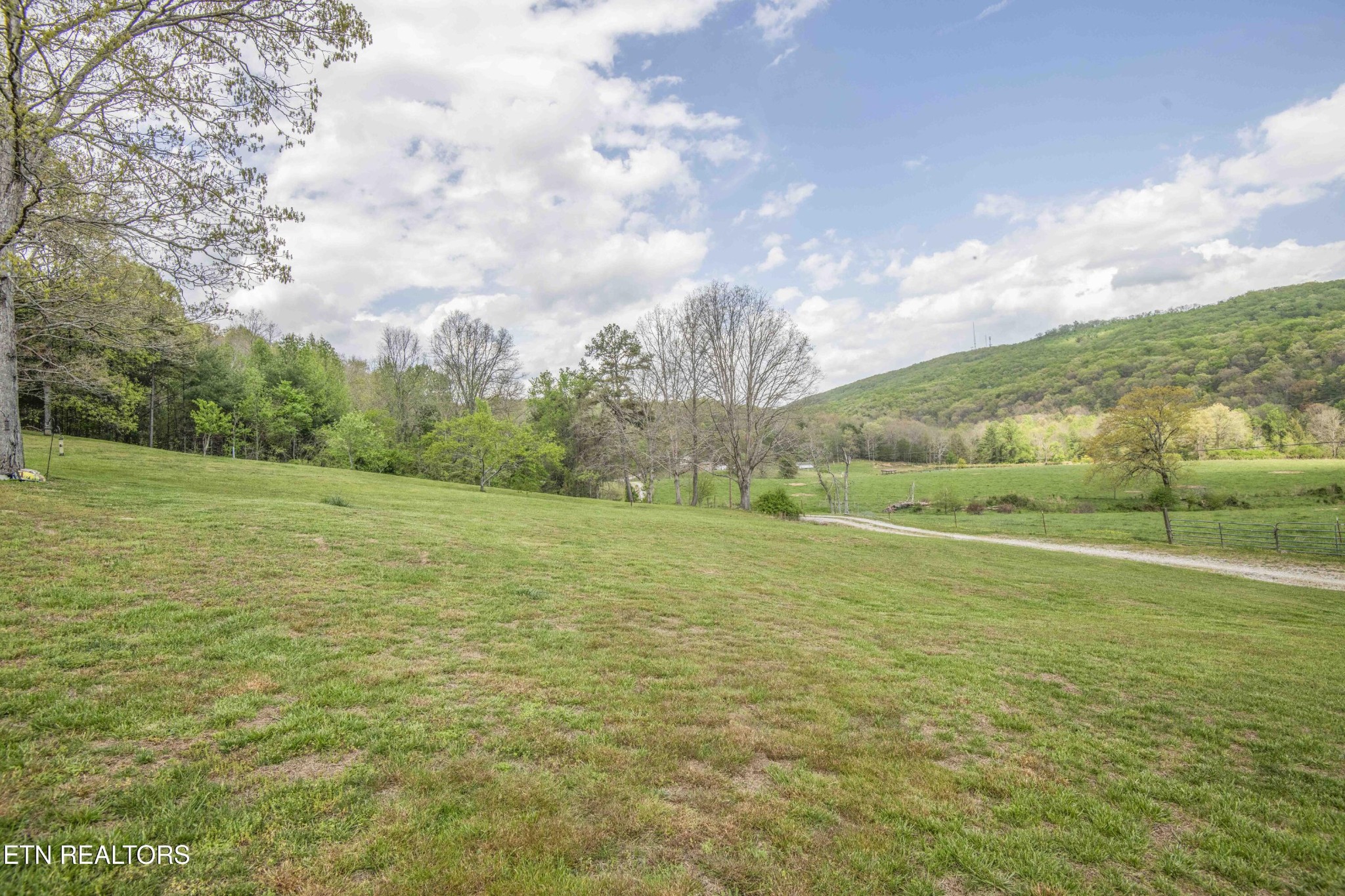 481 Piney Creek Rd