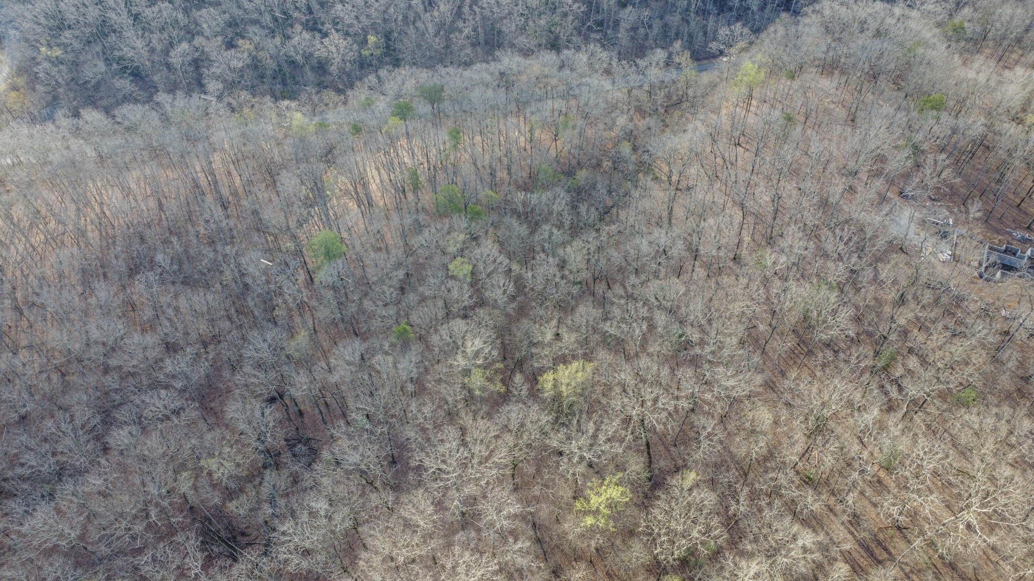 434 Hidden Oaks Road