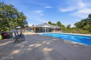 286 Dan Circle