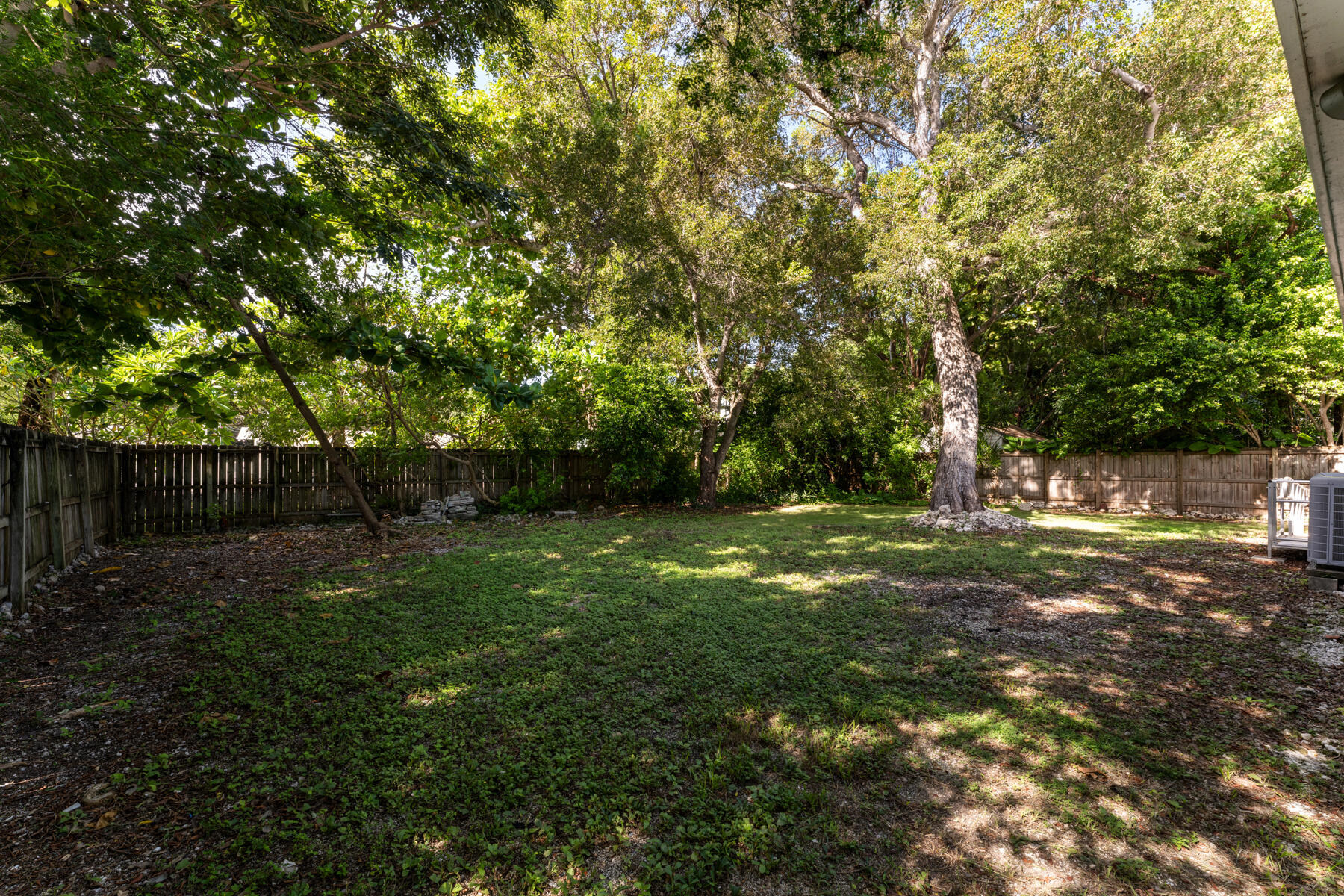 101 Orange Lane
