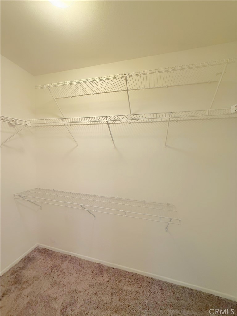 36822 Firethorn Street