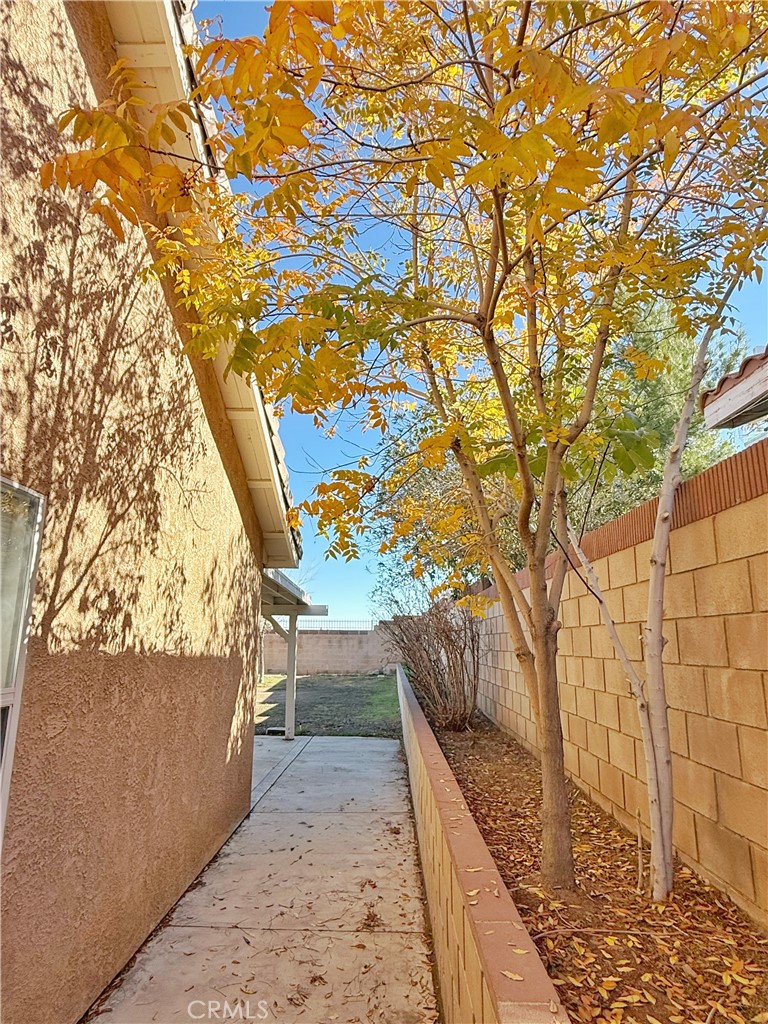 36822 Firethorn Street