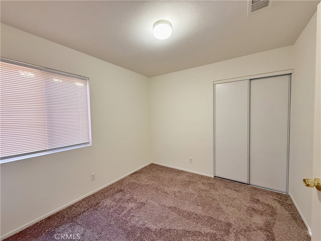 36822 Firethorn Street