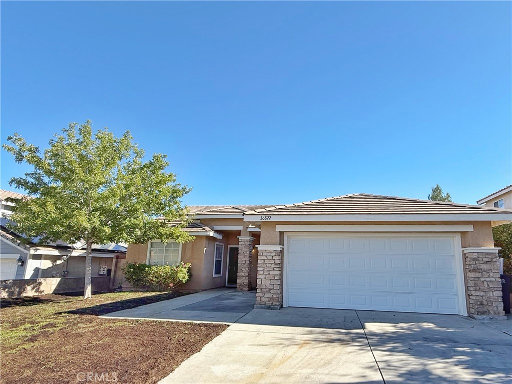 36822 Firethorn Street
